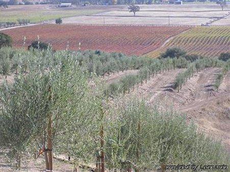 Alta Cresta Orchard & Inn Paso Robles Fasilitas foto