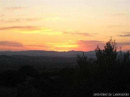 Alta Cresta Orchard & Inn Paso Robles Bagian luar foto